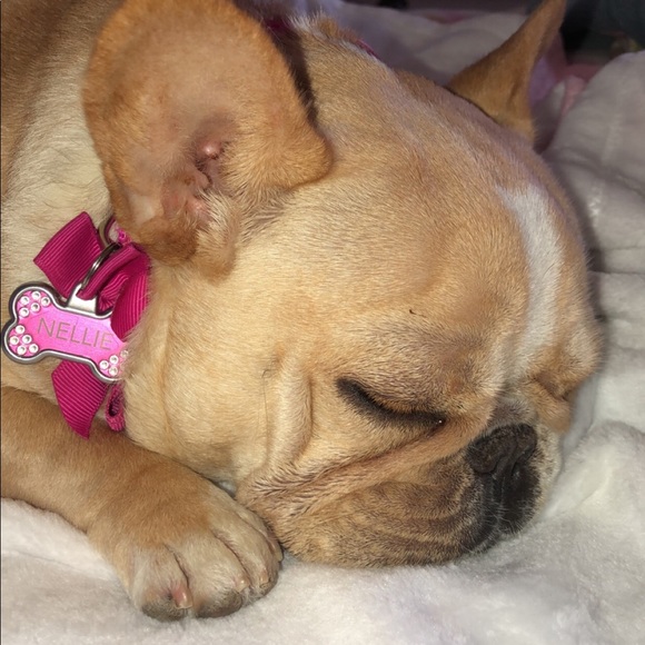 Meet your Posher, Amy - Picture 3 of 4